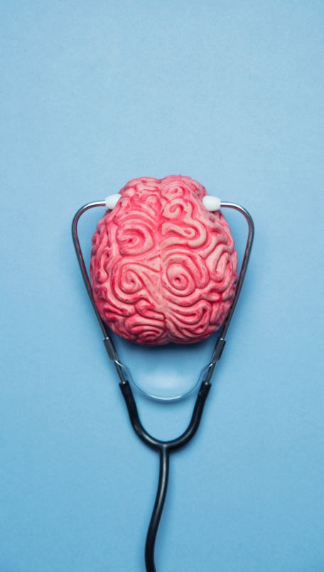 Brain