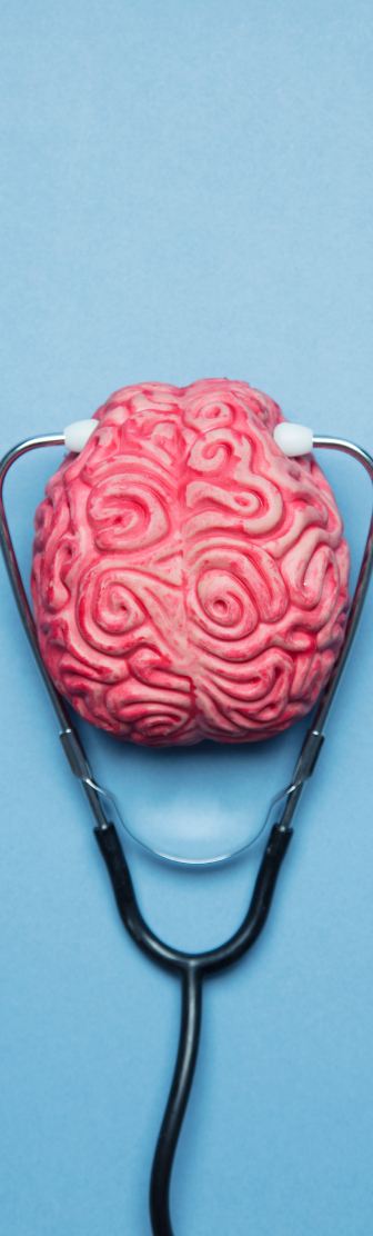 Brain