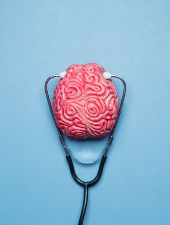 Brain