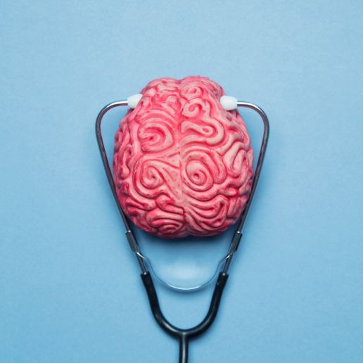Brain